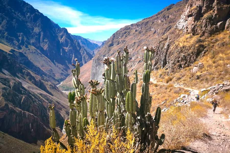 Arequipa : Colca Canyon 2-Day Adventure - Key points at a glance