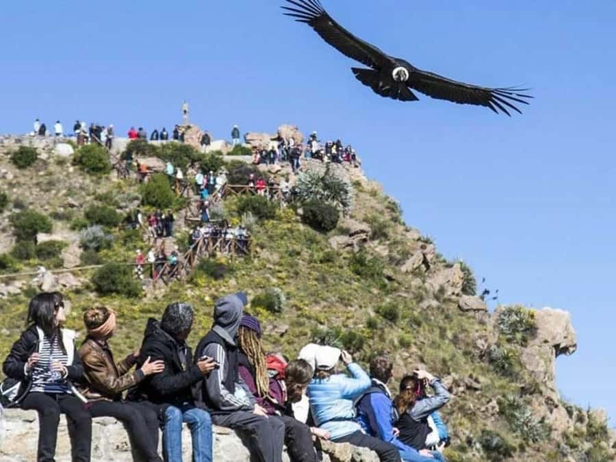 Arequipa: Colca Canyon Trekking 2 days and 1 night + food - From Cabanaconde into the canyon