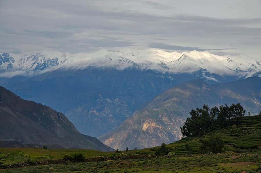 Arequipa: Colca Canyon Trekking 2 days and 1 night + food - Who should book this trek?
