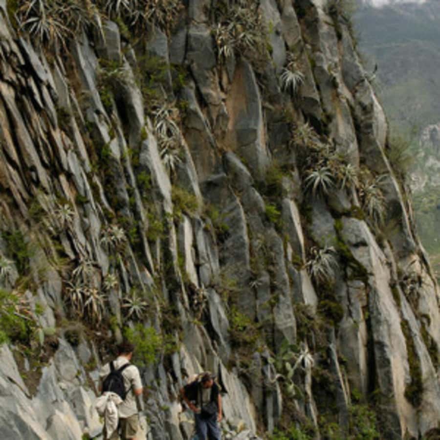 Arequipa: Colca Canyon Trekking 2 days and 1 night + food - Should you book it?