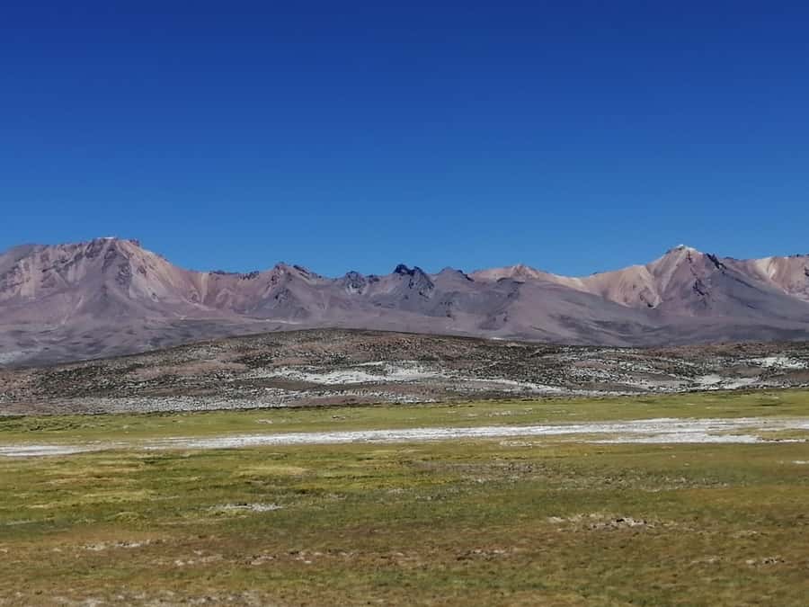 Arequipa: Full-Day Tour to Salinas Salt Lake - Why Salinas Salt Lake is worth a full day
