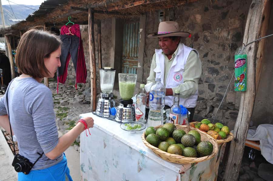 Arequipa: Fullday Colca Canyon + Lunch + Transfer to Puno - What the 16-hour schedule feels like