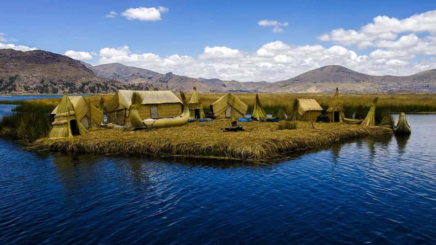 Arequipa: Fullday Colca Canyon + Lunch + Transfer to Puno - Tocrapampa wetlands and Pampa Cañahuas