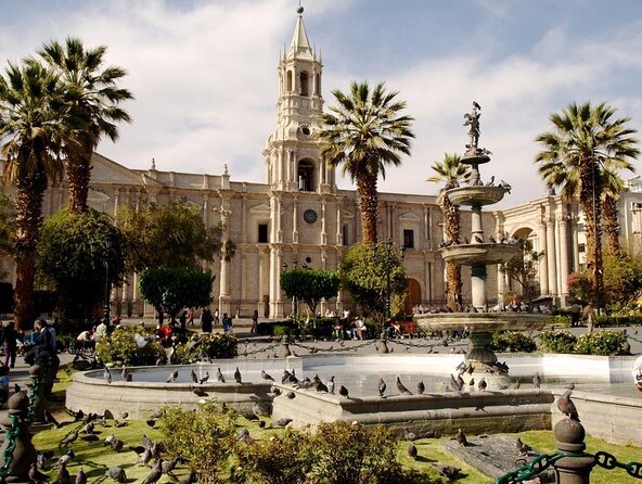 Arequipa Tasting Tour - Key points to know before booking