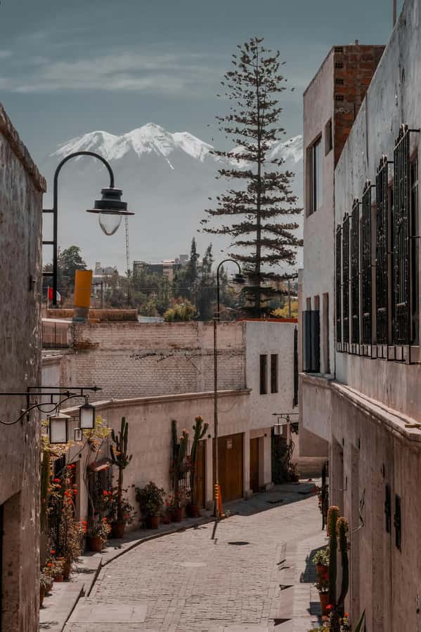 Arequipa: Walk through the Historic Center of the City - Starting at Campo Redondo in San Lázaro