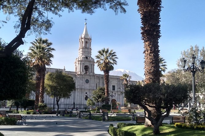Arequipa Walking Tour city center and drinks experience - Choosing the right guide and departure time