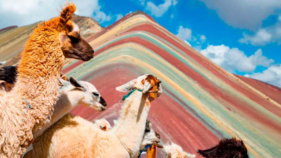Arrive before the crowd to the Mountain in private service - From Cusco to breakfast in Cusipata