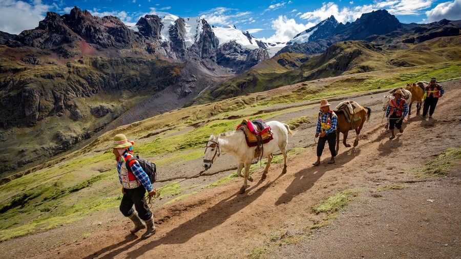 Arrive before the crowd to the Mountain in private service - Who should book this private mountain day trip
