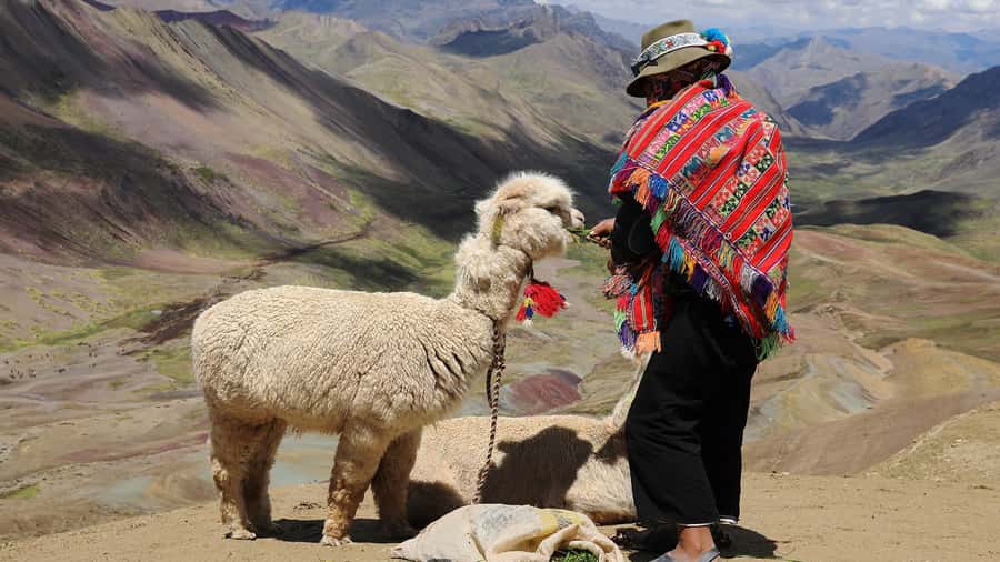 Arrive before the crowd to the Mountain in private service - The 1.5-hour walk to Rainbow Mountain