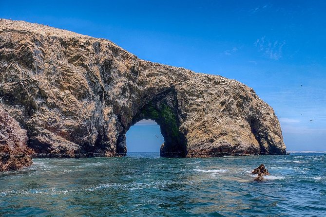 Ballestas island & Paracas reserve from PISCO CRUISESHIP TERMINAL - The Speedboat Ride to the Ballestas Islands