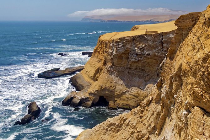 Ballestas island & Paracas reserve from PISCO CRUISESHIP TERMINAL - Guides, Group Size, and the Human Side of the Tour