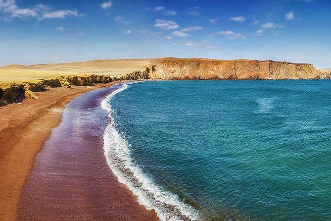 Ballestas island & Paracas reserve from PISCO CRUISESHIP TERMINAL - Wildlife Watching Without False Promises