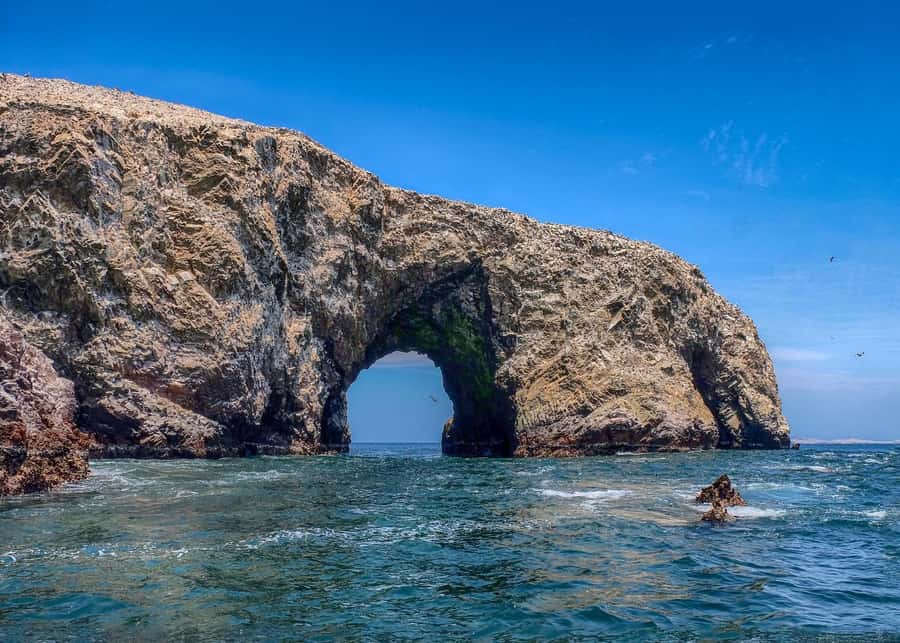Ballestas Islands and Huacachina Oasis Half-Day Tour - Should you book the Ballestas and Huacachina tour?