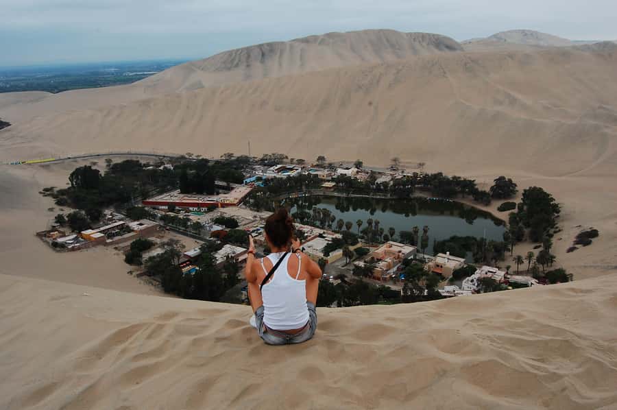 Ballestas Islands and Huacachina Oasis Half-Day Tour - From Paracas Harbor to the Ballestas Islands