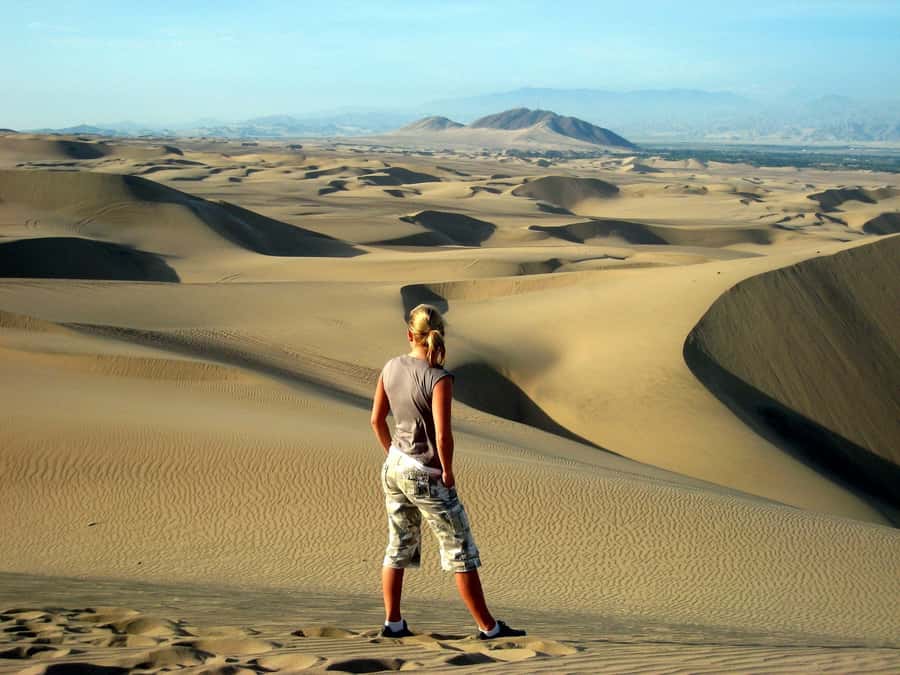 Ballestas Islands and Huacachina Oasis Half-Day Tour - Tasting wine and Pisco in Ica