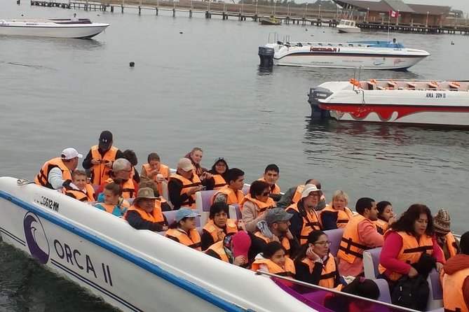 Ballestas Islands Group Tour from Paracas - Rough seas can change the plan