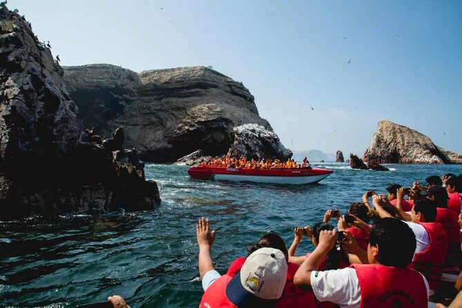 Ballestas Islands & National Reserve of Paracas from Ica - The Paracas Reserve by minibus