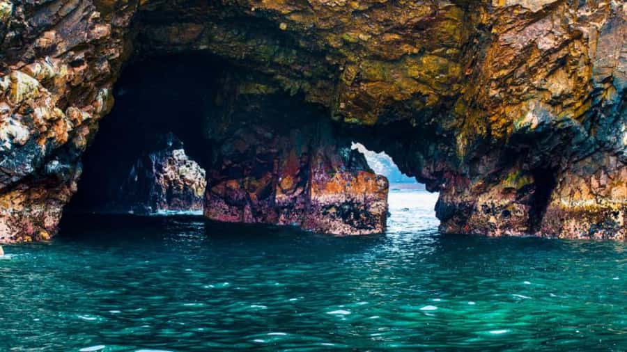 Ballestas Islands & Paracas National Reserve from Paracas - Key Details at a Glance