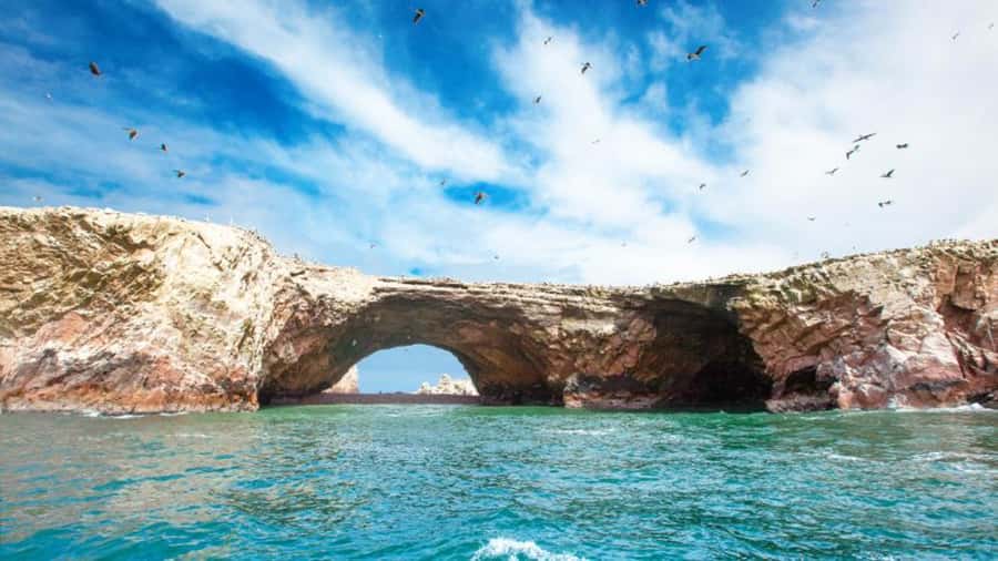 Ballestas Islands & Paracas National Reserve from Paracas - Flamingos Add a Quiet Wildlife Stop