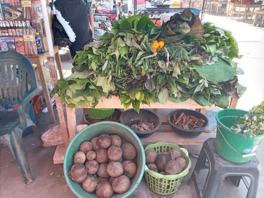 Belen Market & Floating City 2-3 Hour Private Tour - What Kelwin adds to the market visit