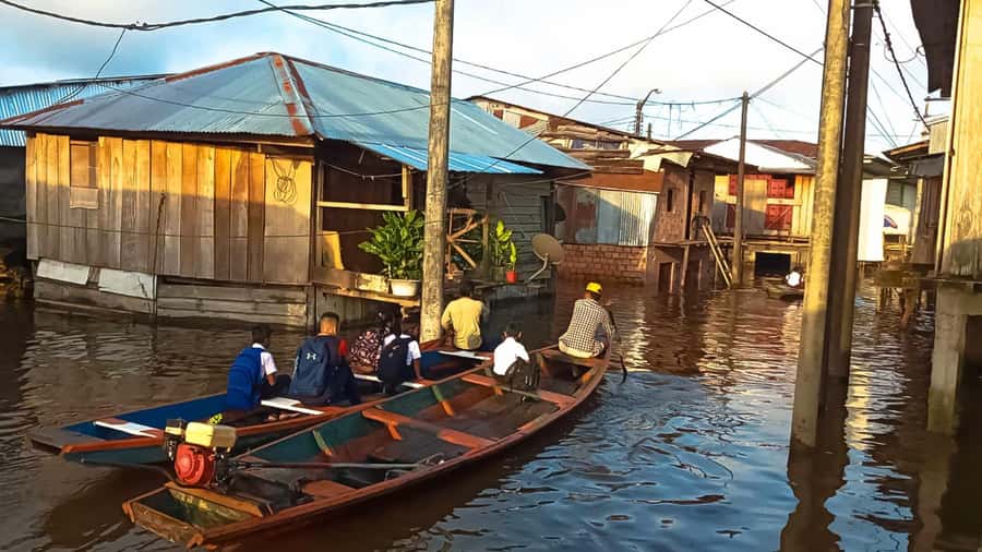 Belen Market & Floating City 2-3 Hour Private Tour - Timing, comfort, and what to bring