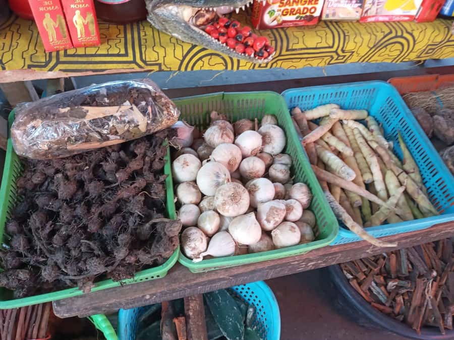 Belen Market & Floating City 2-3 Hour Private Tour - Who will get the most from this tour?
