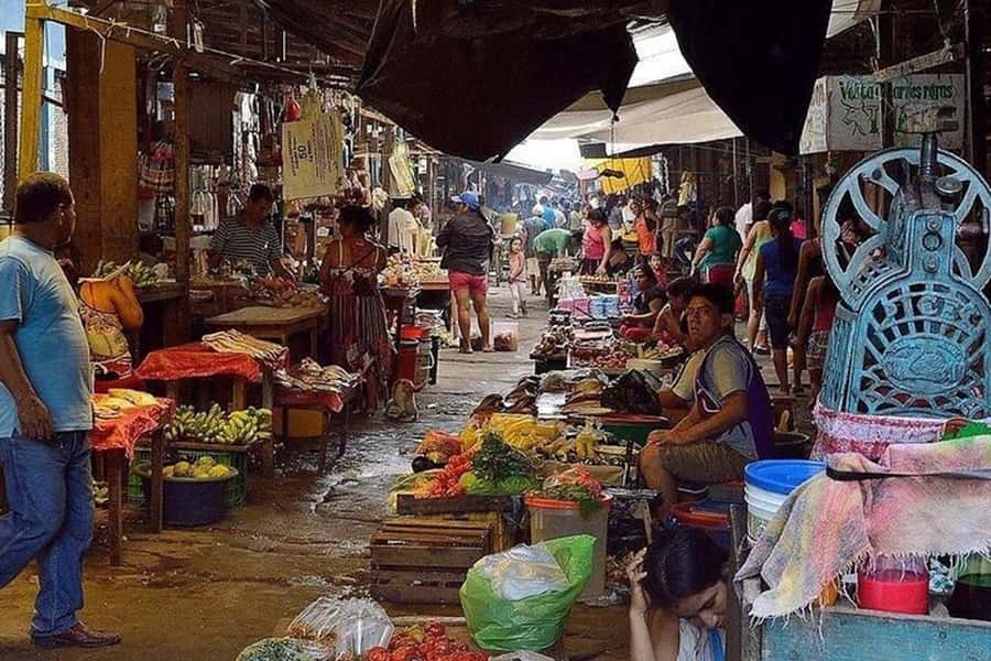 Belen Market & Floating City 2-3 Hour Private Tour - A practical verdict on Belen and the floating city