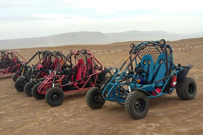 Buggy ride in Paracas National Reserve - The beach pause and desert details