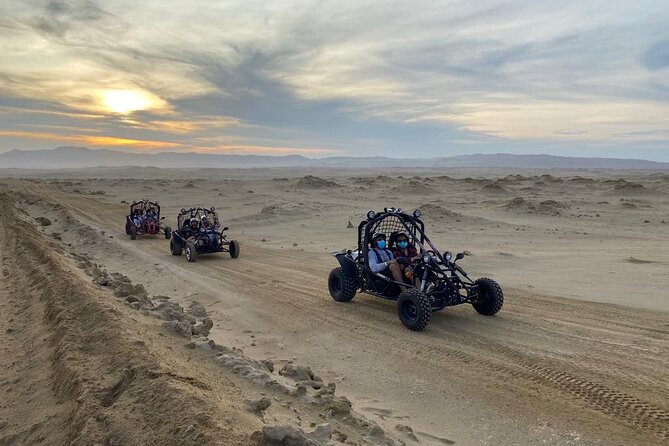 Buggy ride in Paracas National Reserve - Who should book this buggy ride?