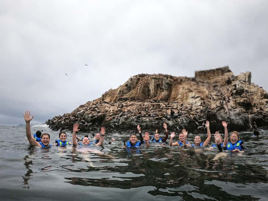 Callao: Swimming with Sea Lions Palomino Islands Boat Tour - Why Palomino Island is the star of this Callao trip