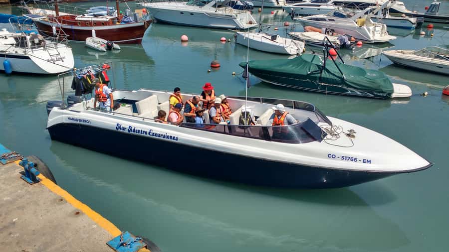 Callao: Swimming with Sea Lions Palomino Islands Boat Tour - FAQ
