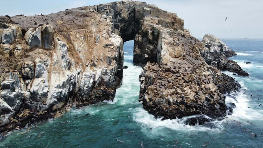 Callao: Swimming with Sea Lions Palomino Islands Boat Tour - From El Mirador across El Camotal