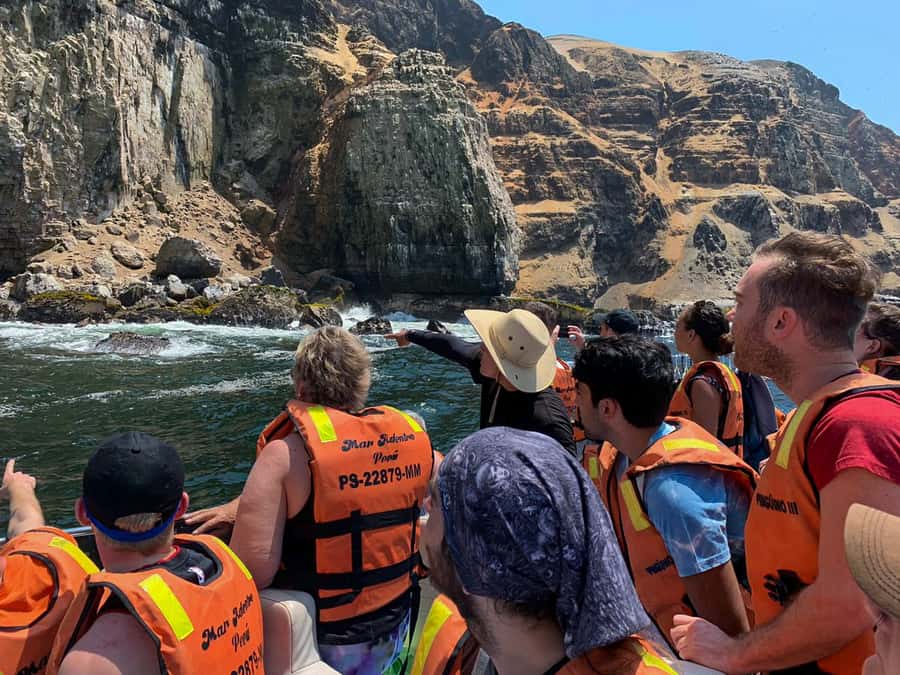 Callao: Swimming with Sea Lions Palomino Islands Boat Tour - Meeting the sea lions at Palomino Island