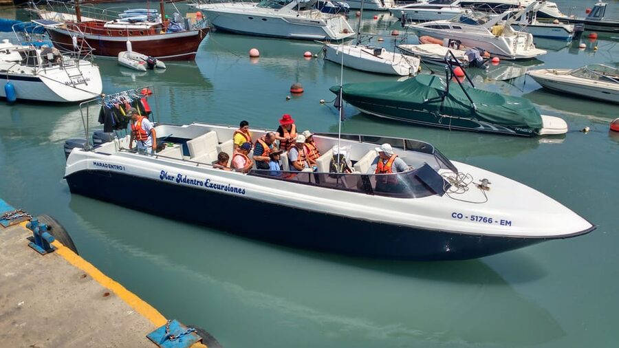 Callao: Swimming with Sea Lions Palomino Islands Boat Tour - Timing, cancellation, and simple preparation