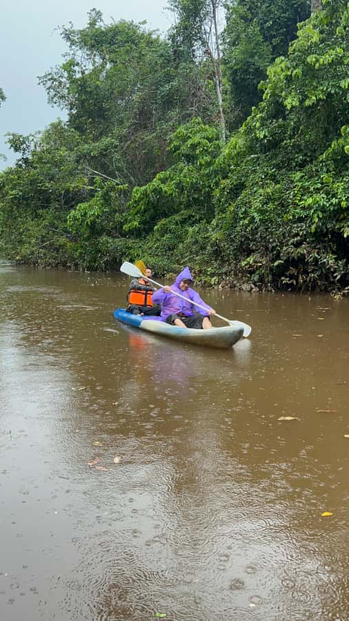 Canopy Tower, Zipline, Kayak, and Monkey Island … - From Puerto Maldonado to the Canopy Tower