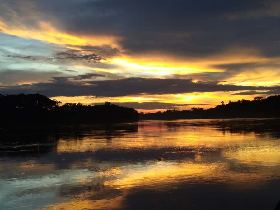 Capibara and caiman search on the Tambopata river - Key things to know before you book