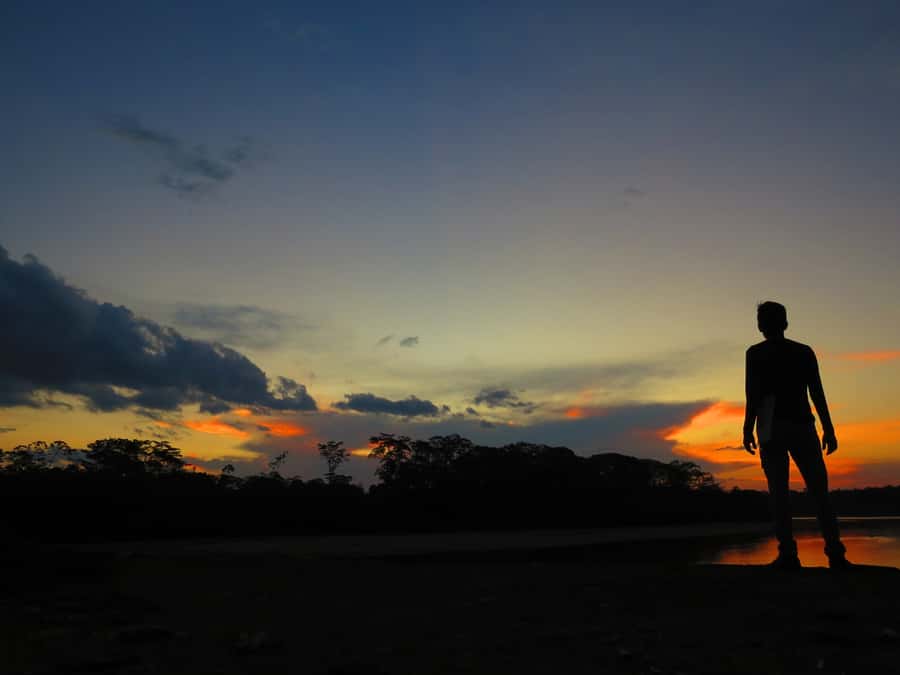 Capibara and caiman search on the Tambopata river - Searching for caimans, capybaras, and river life