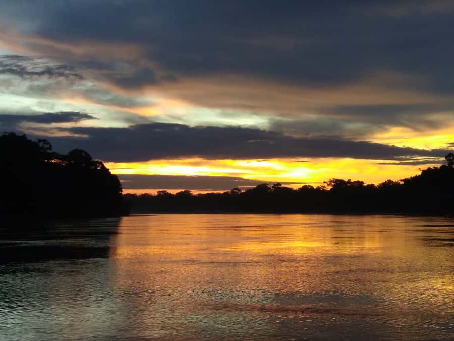 Capibara and caiman search on the Tambopata river - Returning to town after dark