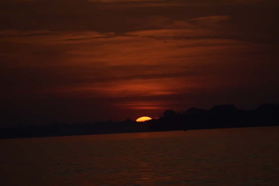 Capibara and caiman search on the Tambopata river - Who will enjoy this three-hour outing