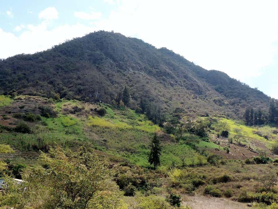 Chiclayo: Chaparri Ecological Reserve Tour - Three routes: bears, Huachuma, and white-winged guans