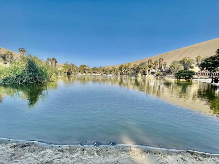 CITY TOUR ICA-HUACACHINA+BUGGIES IN PRIVATE CAR FROM PARACAS - Who should choose this six-hour excursion