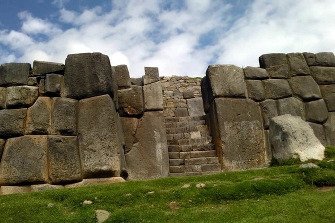 City Tour in Cusco & visit Museum South American Camelid Private. - The camelid farm: llamas, alpacas, and Andean textiles