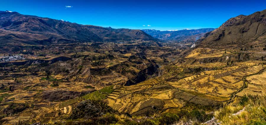 Colca Canyon: 2-Day Tour from Arequipa to Puno - Handling altitude, weather, and luggage