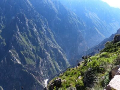 Colca Canyon Day Trip: From Arequipa to Puno
