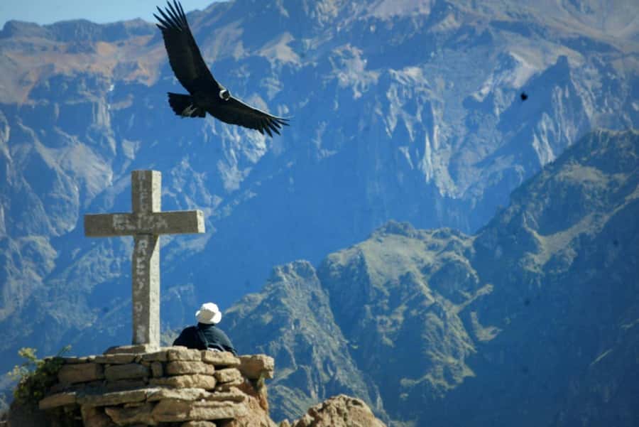 Colca Canyon Day Trip: From Arequipa to Puno - Antahuilque and Choquetico viewpoints