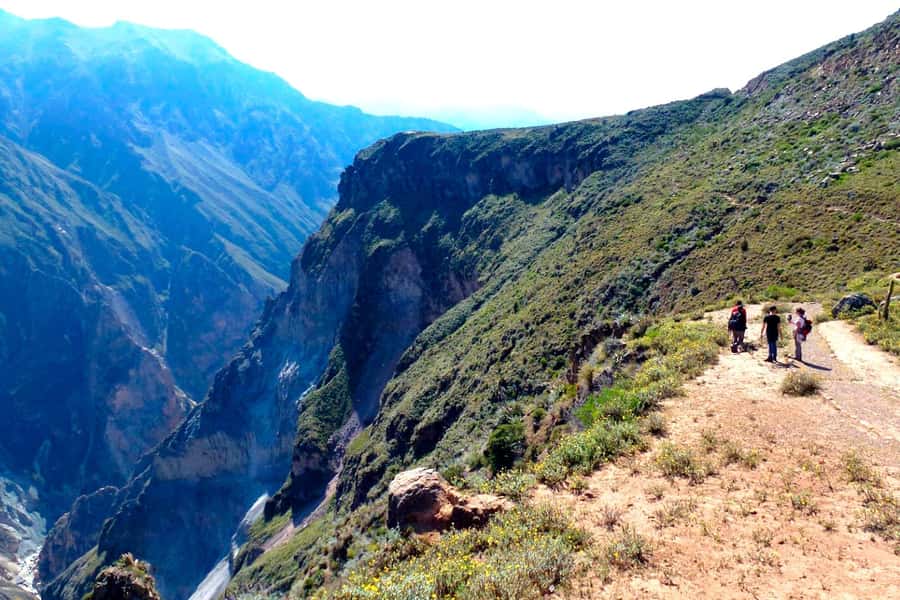 Colca Canyon Day Trip: From Arequipa to Puno - Chacapi hot springs at 11:30 AM