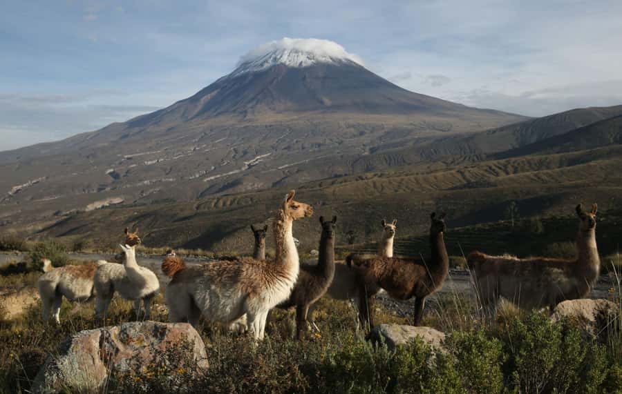 COLCA CANYON FULL DAY TOURS - Cruz del Condor and the canyon viewpoint