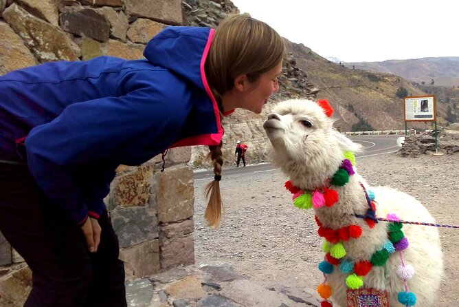 Colca Canyon Plus - Puruña Stone Forest and a Local Andean Demonstration