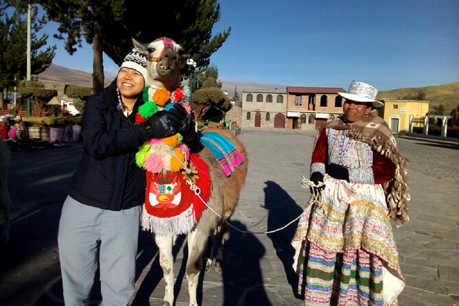 Colca Canyon Plus - Pinchollo, Ancient Terraces, and the Return to Chivay