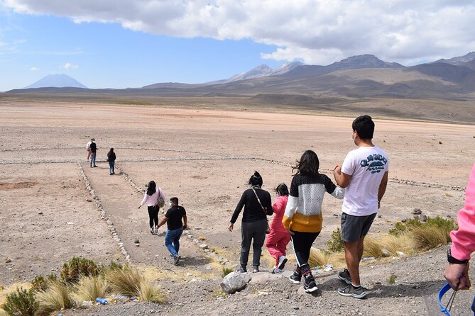 Colca Full Day - Condor sightings and the best moments of the day
